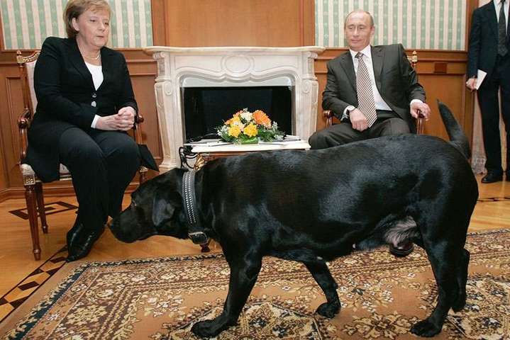 Немецкий Focus назвал Путина собакой: разгорелся скандал