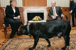 Немецкий Focus назвал Путина собакой: разгорелся скандал