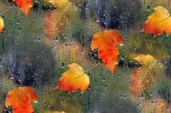 Похолодание и дожди: синоптик рассказала о капризной погоде в Украине