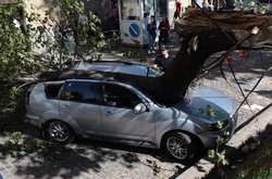 У Львові дерево розтрощило автівку нардепа
