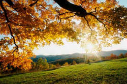 Субота порадує Україну теплом