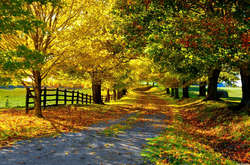 Сьогодні в Україні повітря прогріється до +32 