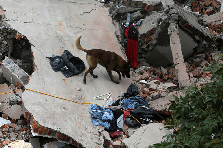 Страшний землетрус у Мексиці: загинуло 226 осіб, зруйновано десятки будинків