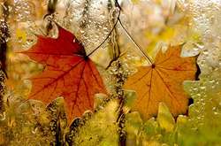 У четвер потеплішає, але дощитиме