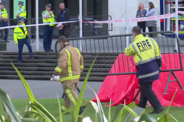 Чоловік підпалив себе перед парламентом Нової Зеландії