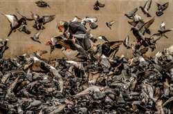  LensCulture Street Photography Awards: опубликованы лучшие работы конкурса уличной фотографии 