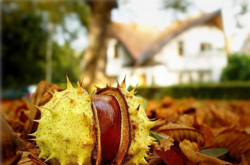 Новий температурний рекорд: минула ніч у Києві була найтеплішою за 137 років