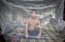 В Азії вибухнула епідемія «супермалярії»