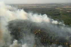 На Харківщині масштабна лісова пожежа: вогонь підбирається до населених пунктів