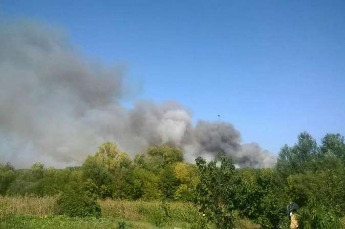 Лісова пожежа на Харківщині: рятувальники повідомили про окремі осередки тління