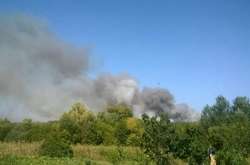Лісова пожежа на Харківщині: рятувальники повідомили про окремі осередки тління