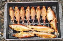 Масове отруєння рибою у Львові: у лікарні госпіталізовано 32 людини