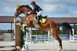 Французький спортсмен загинув на змаганнях з кінного спорту