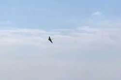 На авіашоу в Італії розбився винищувач: пілот не встиг катапультуватися