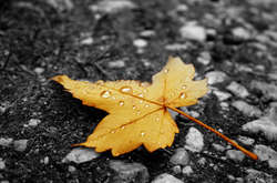 Синоптик розповіла, коли в Україну прийде похолодання