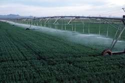 Відновлення зрошувальних систем в Україні відбуватиметься у три етапи