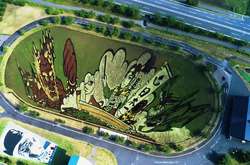 Жители японской деревни превратили рисовые поля в картины 