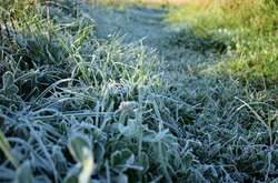 Киян та гостей столиці попередили про заморозки