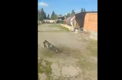 Снаряд из Калиновки залетел на нефтебазу: в сети появилось видео