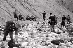 У Німеччині двох колишніх есесівців перевіряють на причетність до трагедії в Бабиному Яру