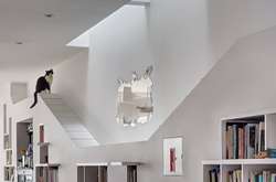 Семейная пара из Бруклина создала идеальный интерьер для своих кошек