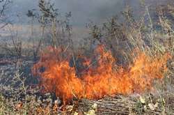 Бойовики з мінометів обстріляли квартали Мар'їнки: пошкоджені будинки