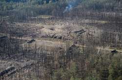 Ліс навколо військового арсеналу, який вигорів внаслідок пожежі на складах