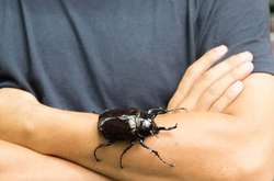 Ослик, суслик, паукан: китайцы и их экзотические питомцы в объективе британского фотографа