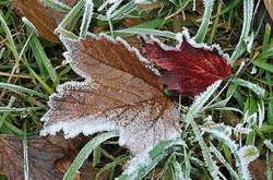 Синоптики знову попереджають про заморозки в Україні