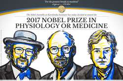 Стало известно, за какое открытие вручили Нобелевскую премию по медицине
