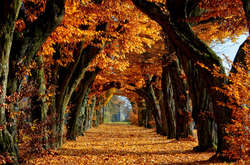 Прогноз погоди на вівторок: заморозки, місцями дощі