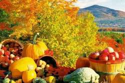 Фото із відкритих джерел