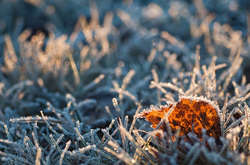Середа в Україну прийде з дощами та заморозками 