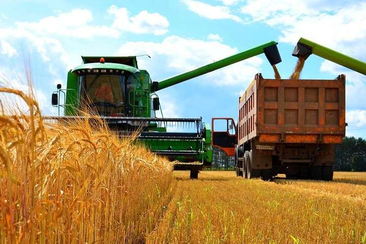 Аграрії намолотили більше 42 млн тонн зерна