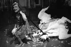 Сказки братьев Гримм в современном японском искусстве 