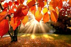 В Україну йде «бабине літо»