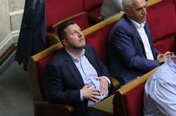 Хто такі «Відродження» і «Воля народу»? Що вони роблять в Раді?