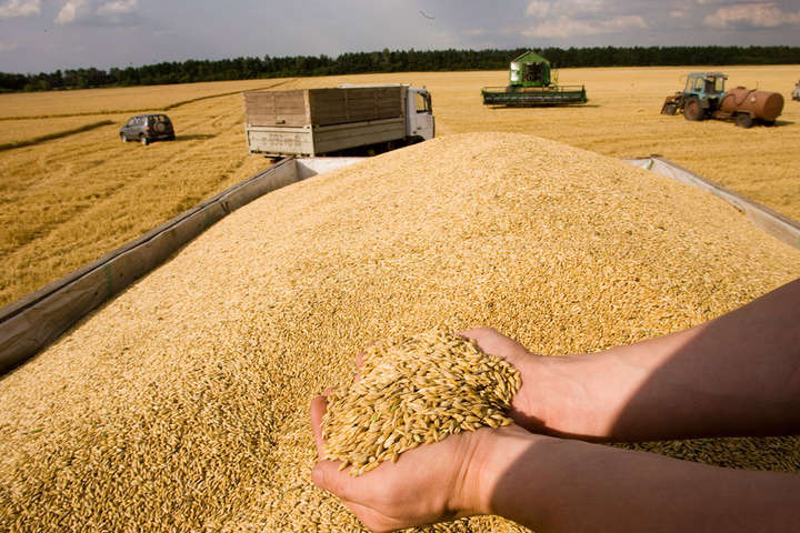 В Українській зерновій асоціації побачили, який врожай може бути у 2020 році 