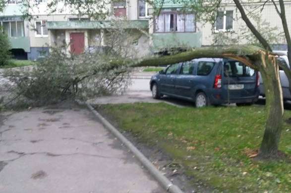 Буревій на Львівщині повалив дерева та розтрощив автівки (фото)