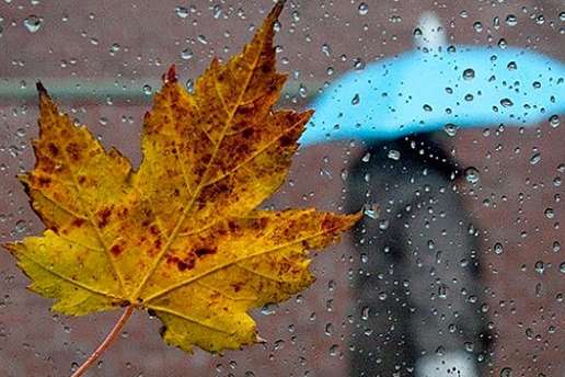 Погода на вихідні: дощі пройдуть на півдні і сході України 