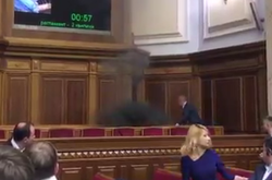 Підпал димової шашки в Раді: поліція розслідує справу як «хуліганство»