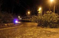 Через негоду без світла залишаються 68 населених пунктів на Львівщині