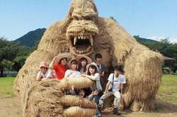 Забавные гиганты: Японские студенты нашли неожиданное применение рисовой соломе