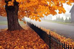 У вівторок дощі покинуть Україну