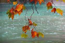 Прогноз погоди на 10 жовтня: по всій країні очікуються невеликі дощі