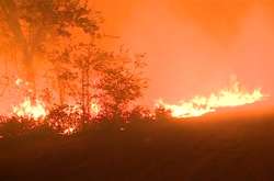 Пожежі в Каліфорнії забрали життя десяти людей