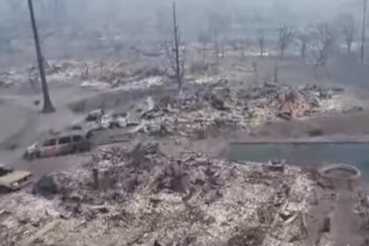Лесные пожары в Калифорнии, 17 жертв: шокирующее видео пепелища