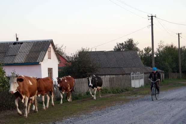 Після вибухів у Калинівці селянам Вінниччини забороняють пасти корів