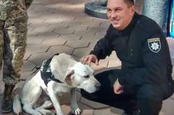 Одеські поліцейські привітали з днем народження лабрадора Васю, який брав участь в АТО