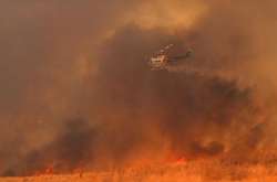 Пожежі у Каліфорнії: Кількість загиблих зросла до 31